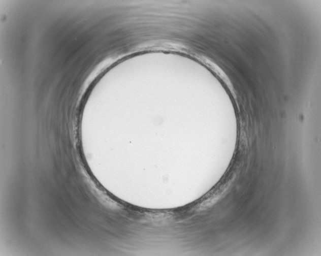 X0000085250997200704092044