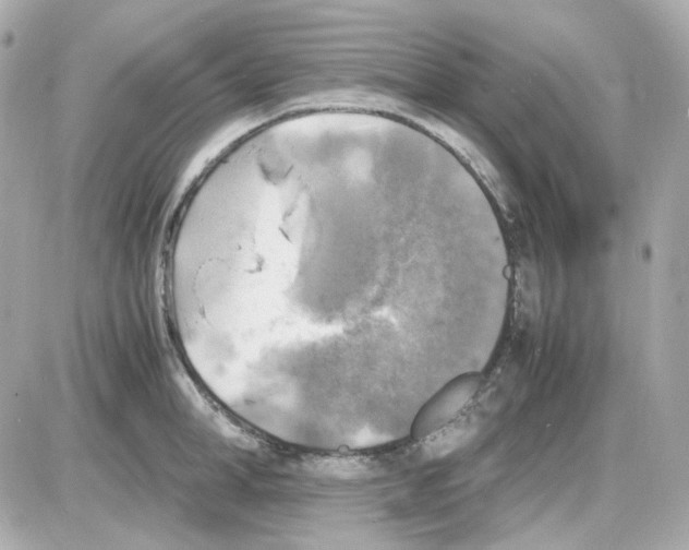 X0000085250998200704092044