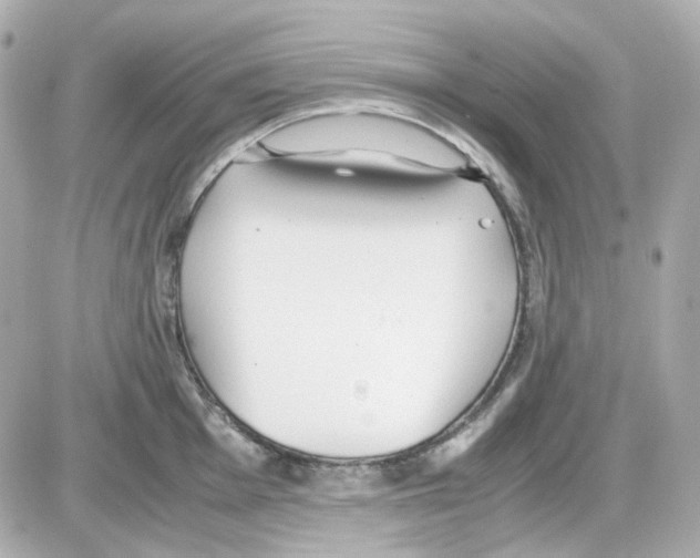 X0000085251001200704092044