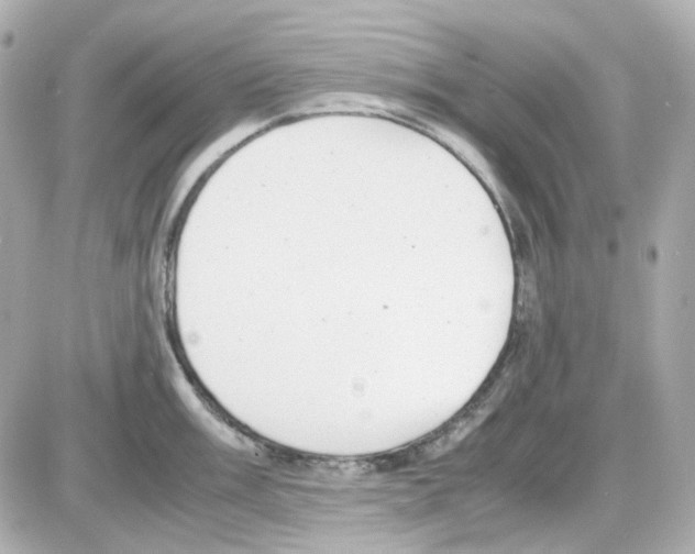 X0000085251003200704092044