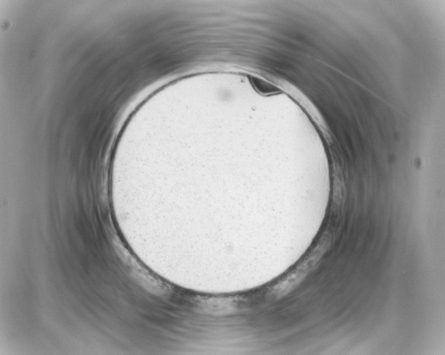 X0000085251004200704092044