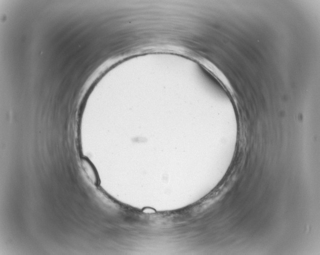 X0000085251005200704092044