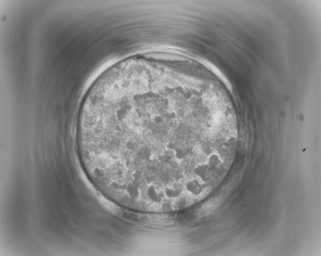 X0000085251007200704092044