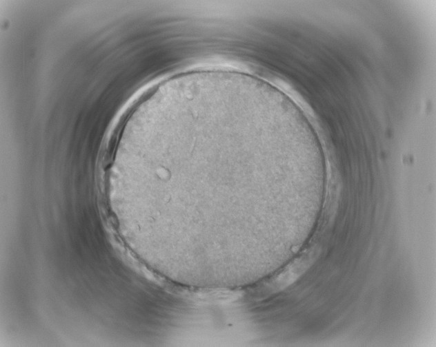 X0000085251008200704092044