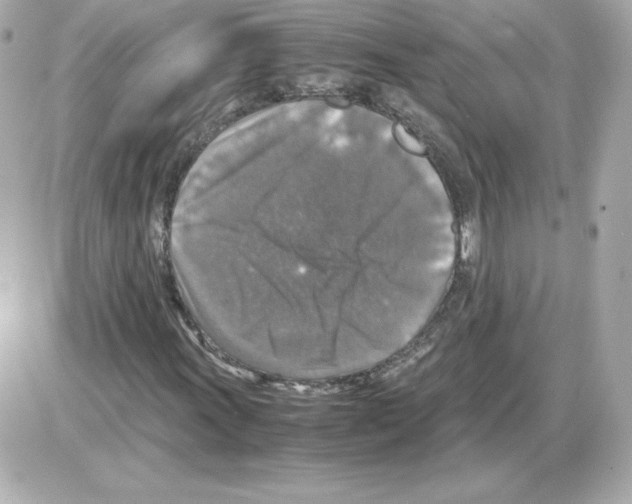 X0000085251011200704092043