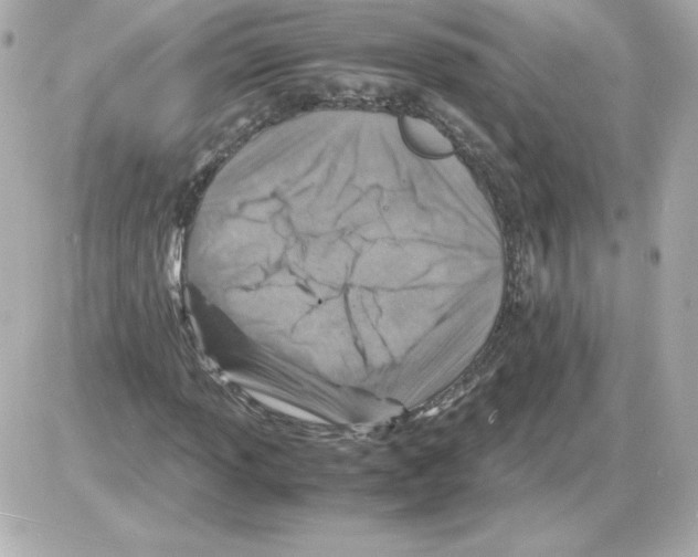 X0000085251013200704092043