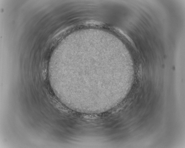 X0000085251015200704092043