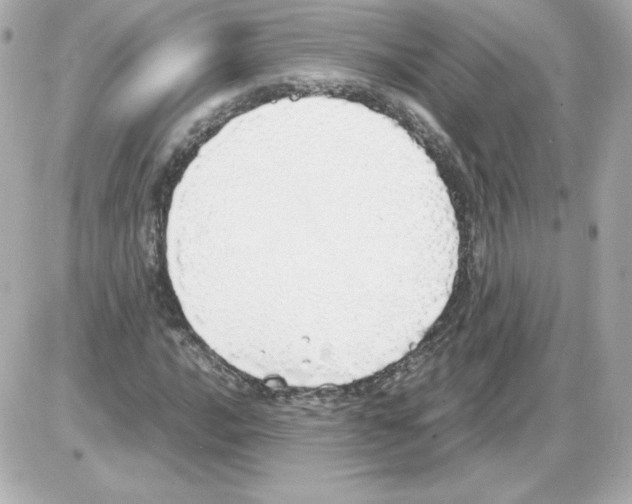 X0000085251016200704092043