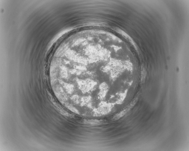 X0000085251019200704092043