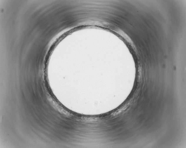 X0000085251020200704092043