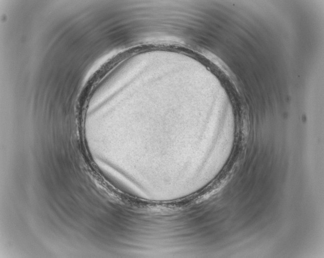 X0000085251022200704092043