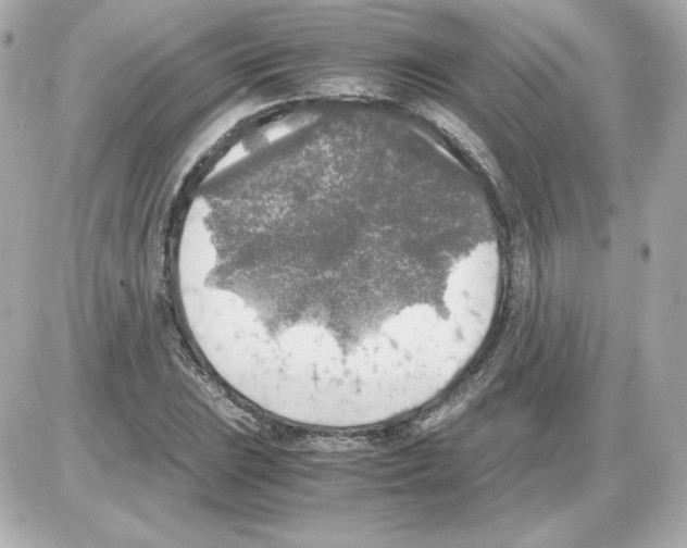 X0000085251023200704092043