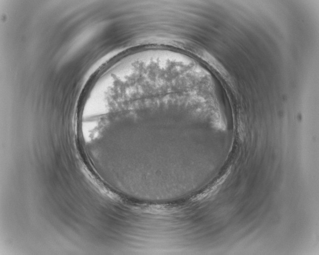 X0000085251028200704092043