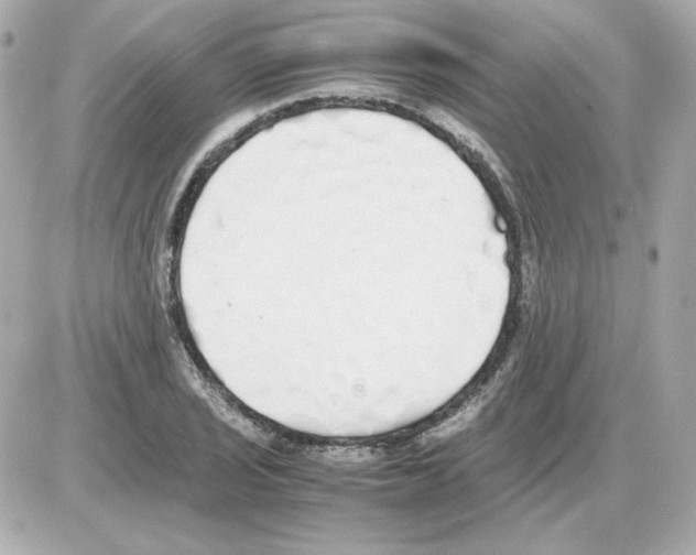 X0000085251029200704092043