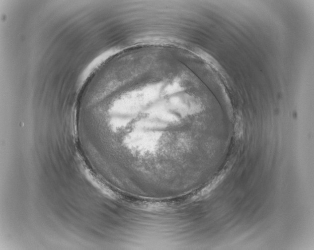 X0000085251030200704092043