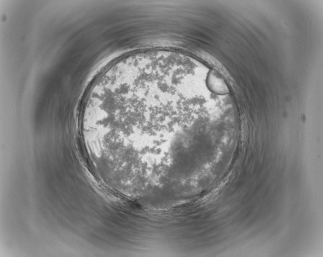 X0000085251031200704092043