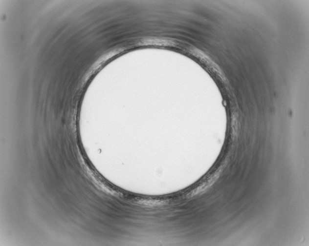 X0000085251033200704092043