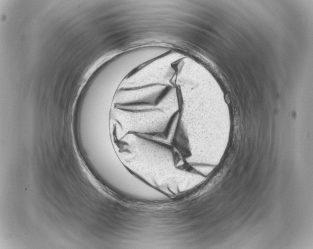 X0000085251034200704092043