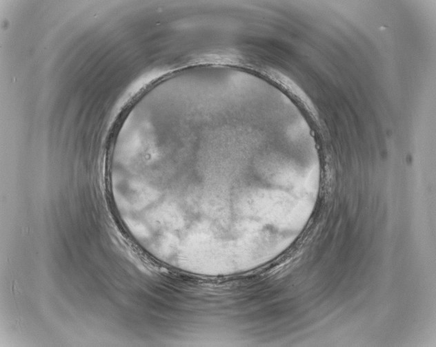 X0000085251035200704092044