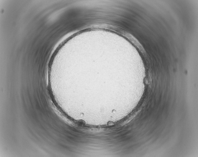 X0000085251036200704092044