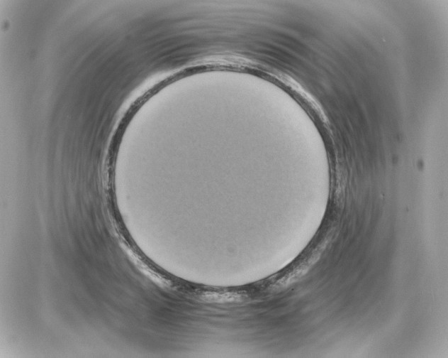 X0000085251037200704092044