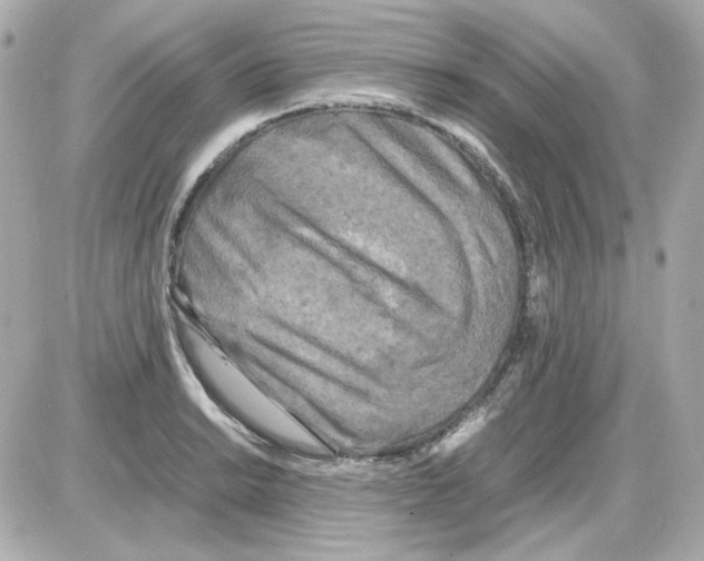 X0000085251038200704092044