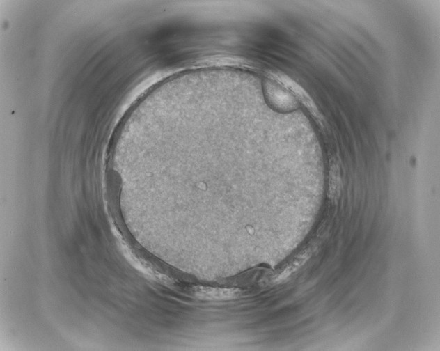 X0000085251039200704092044