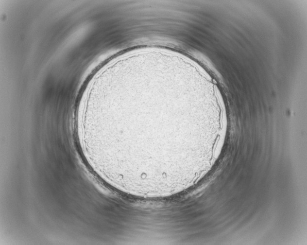 X0000085251040200704092044