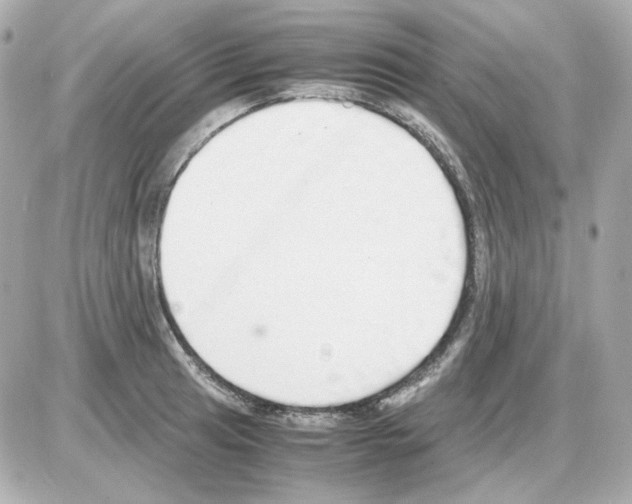 X0000085251041200704092044