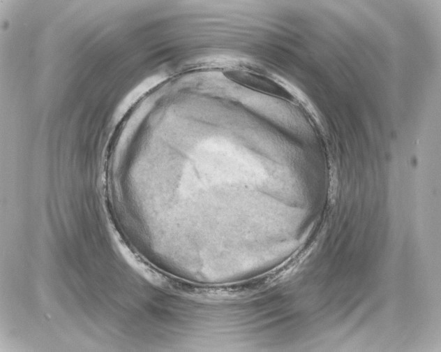 X0000085251042200704092044