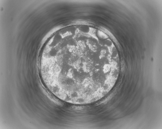 X0000085251043200704092044