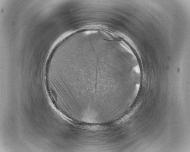 X0000085251045200704092044