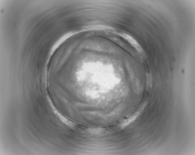 X0000085251046200704092044