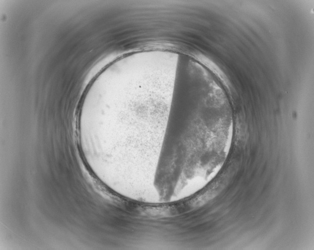 X0000085251047200704092044