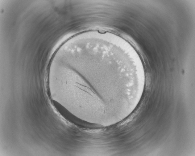 X0000085251048200704092044