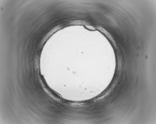 X0000085251049200704092044