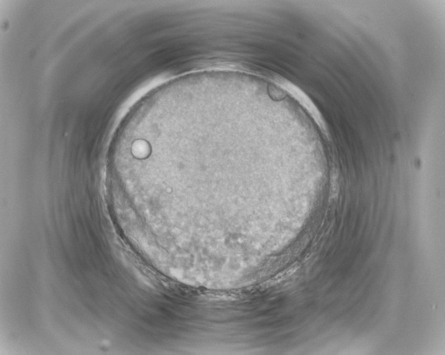 X0000085251051200704092044