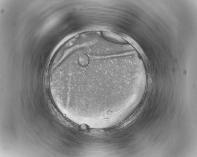 X0000085251052200704092044