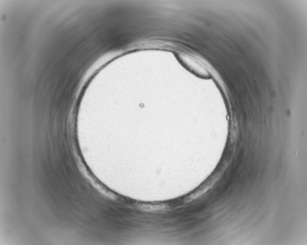 X0000085251053200704092044