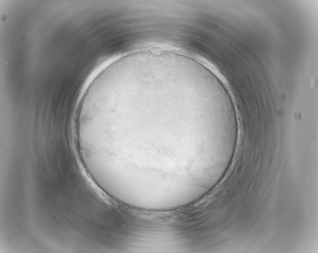 X0000085251056200704092044