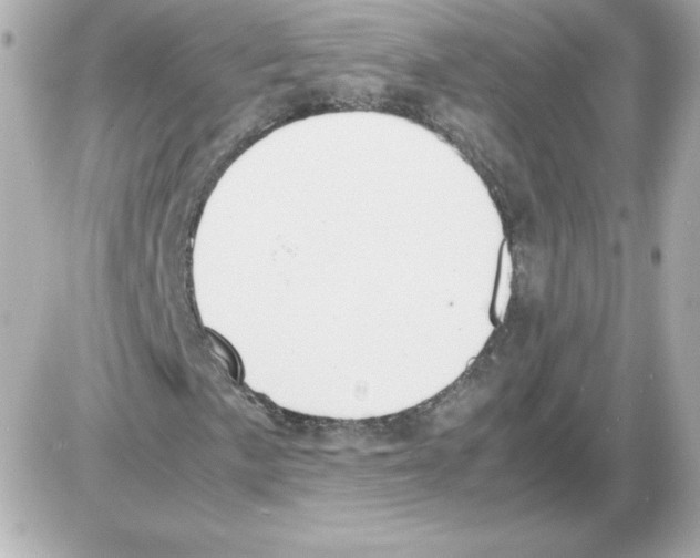 X0000085251057200704092043