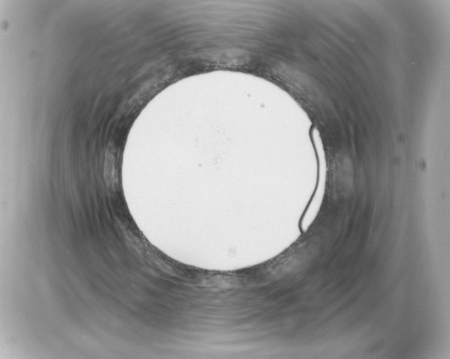 X0000085251058200704092043