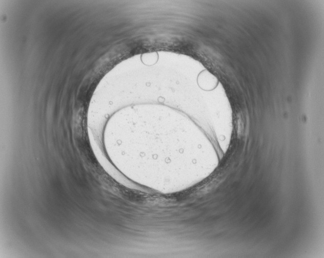 X0000085251059200704092043