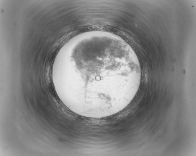 X0000085251060200704092043