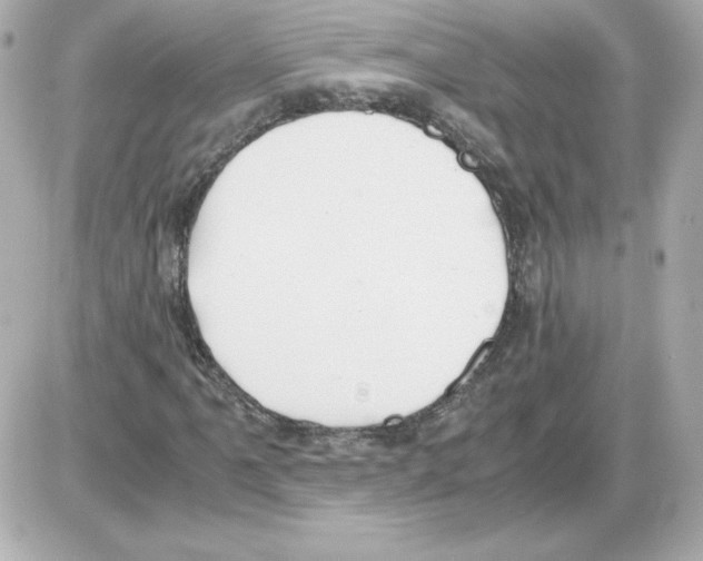 X0000085251061200704092043