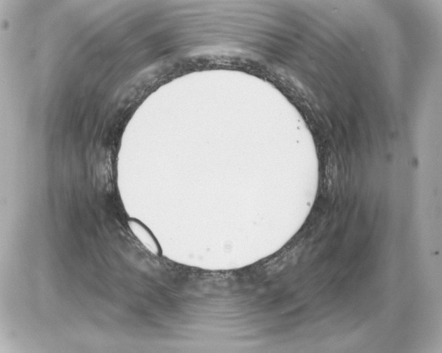 X0000085251062200704092043