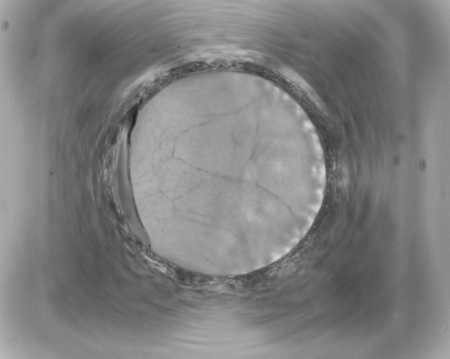 X0000085251063200704092043