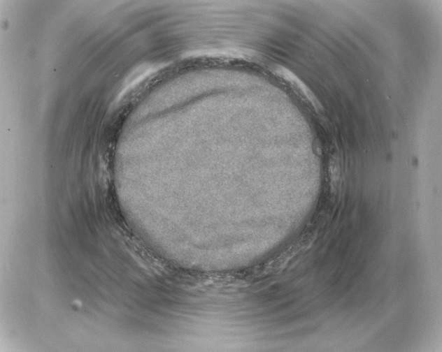 X0000085251064200704092043