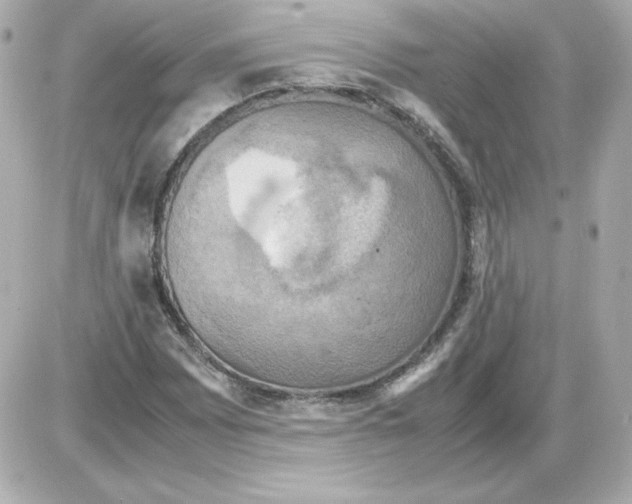 X0000085251065200704092043