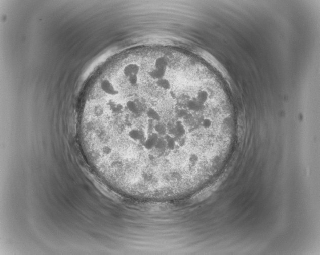 X0000085251067200704092043